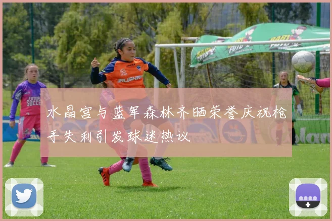 水晶宫与蓝军森林齐晒荣誉庆祝枪手失利引发球迷热议
